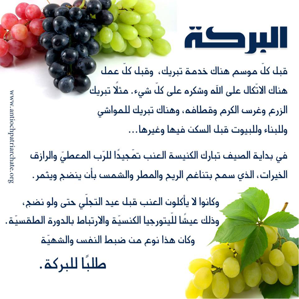 11895993_601787009925016_7091012033265371349_n copy