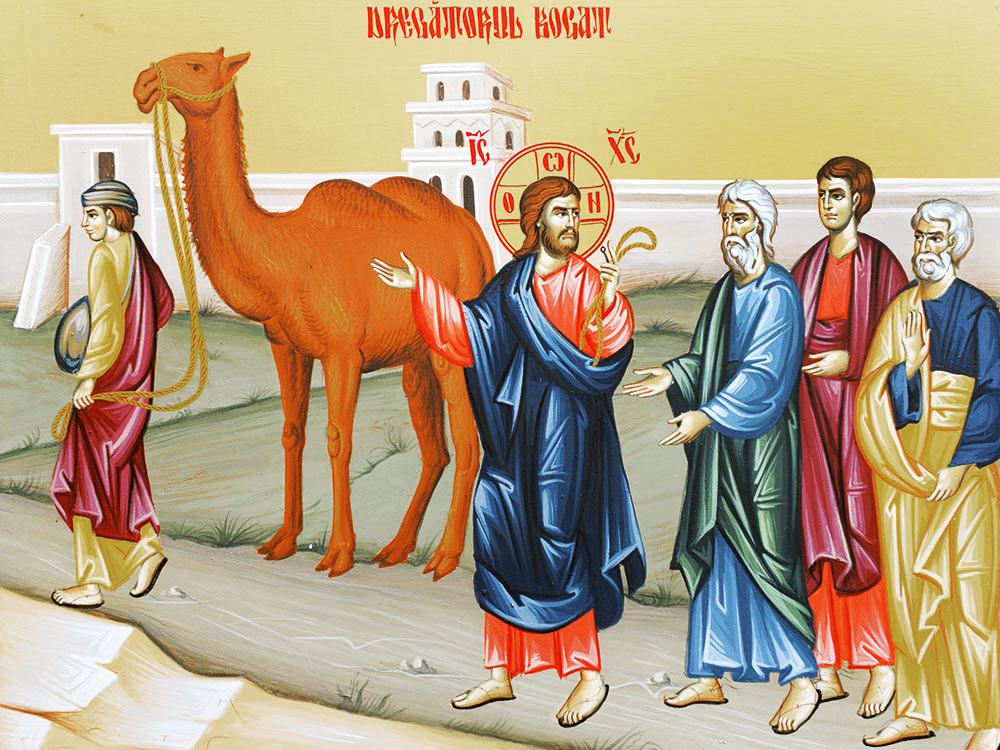 dregatorul-bogat_w1000_h750_q100